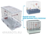 Обзоры и фото клеток для попугаев