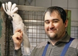 Попугаи приглашают в птичий парк