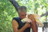 Карантин поневоле: человек и 200 попугаев