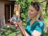 Типичная немецкая усадьба – куры, утки и попугаи