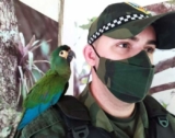 Уникальные попугаи спасены в Бразилии