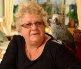 Попугай спасает жизнь хозяйке