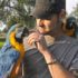 Амазон-полиглот