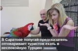 Попугай-предсказатель