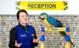 32-летний ара Чарли переезжает в знаменитый парк «Legoland»