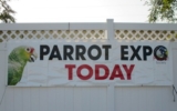 В Нью-Йорке состоялась выставка «Parrot Expo 2014»