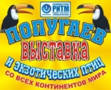 В столице Мордовии пройдет выставка попугаев
