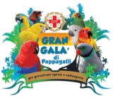 Выставка попугаев «Gran Gala di Pappagalli»