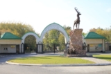 В Ташкентском зоопарке посвятили целый день попугаям