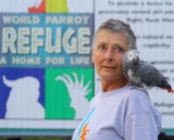 Судьба сотен попугаев из «World Parrot Refuge» неопределенна