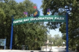 Пополнение попугаев в Turtle Bay Exploration Park
