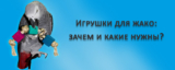 Как выбрать игрушки для жако