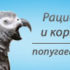 Игрушки для жако