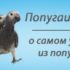 Солдатский ара