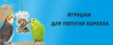 Самые лучшие игрушки для попугая корелла